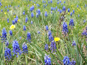 12/05/2012 - Güney Marmara Bölge Toplantısı